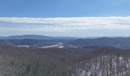 Photo #3 of tbd WESTMINSTER RD, MILLBORO, VA 114.0 acres