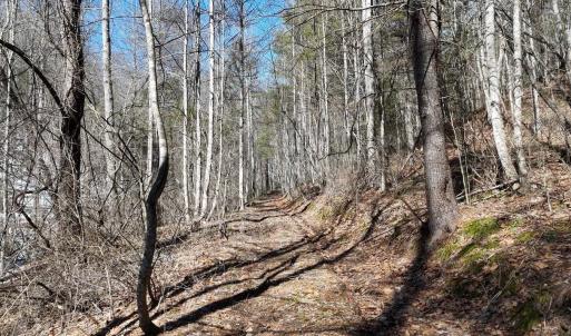 Photo #2 of tbd WESTMINSTER RD, MILLBORO, VA 114.0 acres