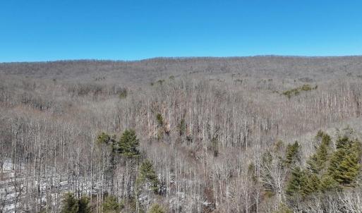 Photo #1 of tbd WESTMINSTER RD, MILLBORO, VA 114.0 acres
