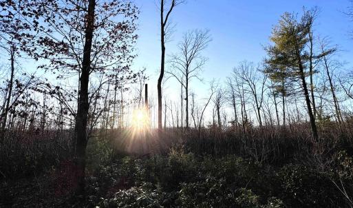 Photo #17 of 23-51 ID HOOVER RD, DUET, VA 30.3 acres