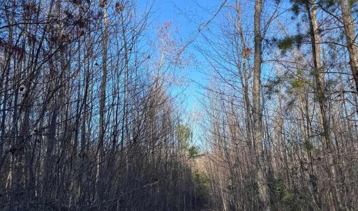 Photo #6 of 23-51 ID HOOVER RD, DUET, VA 30.3 acres