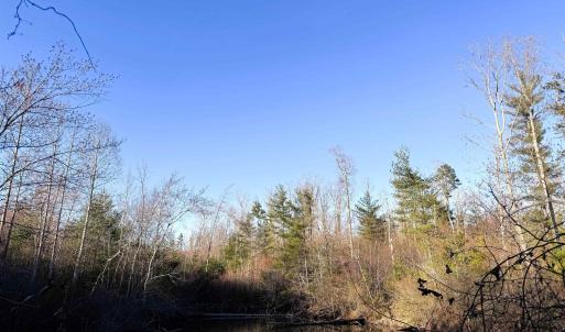 Photo #14 of 23-51 ID HOOVER RD, DUET, VA 30.3 acres