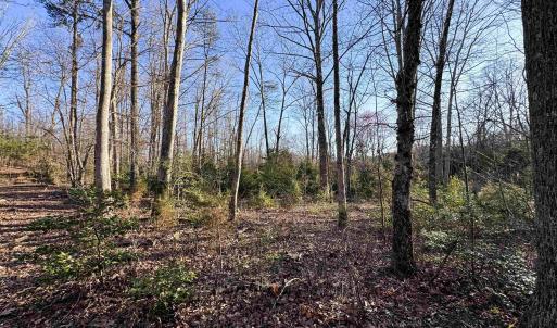 Photo #12 of 23-51 ID HOOVER RD, DUET, VA 30.3 acres
