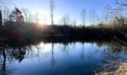 Photo #1 of 23-51 ID HOOVER RD, DUET, VA 30.3 acres