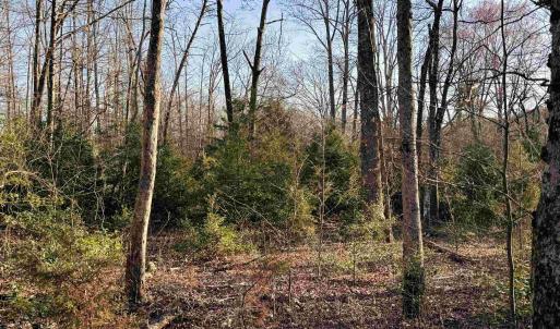 Photo #11 of 23-51 ID HOOVER RD, DUET, VA 30.3 acres