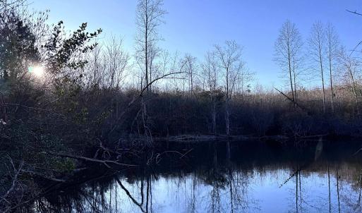 Photo #13 of 23-51 ID HOOVER RD, DUET, VA 30.3 acres