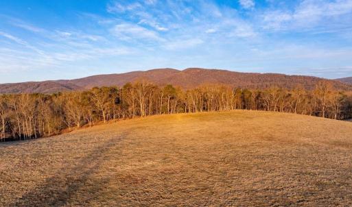 Photo #14 of 2292 BROWNS GAP TPKE, CHARLOTTESVILLE, VA 81.5 acres
