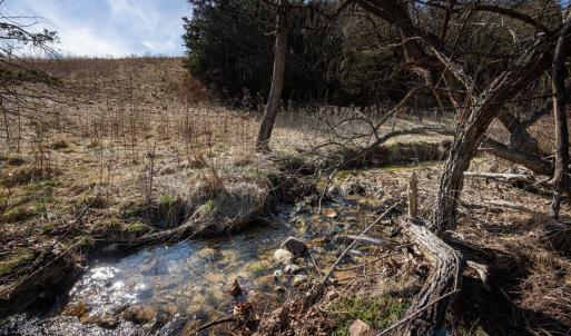 Photo #21 of Lot 4 SHULER LN, STANLEY, VA 8.9 acres