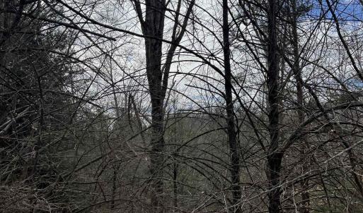 Photo #1 of TBd COLD SPRINGS RD, RAPHINE, VA 11.9 acres
