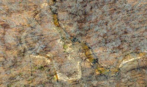 Photo #12 of Lot 2 STARLIGHT LN, KENBRIDGE, VA 14.4 acres