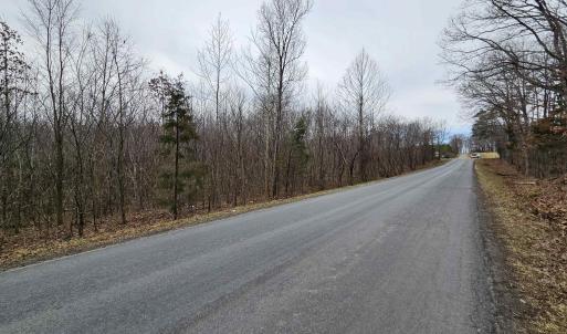 Photo #9 of TBD EVANS MILLS RD, DILLWYN, VA 7.8 acres