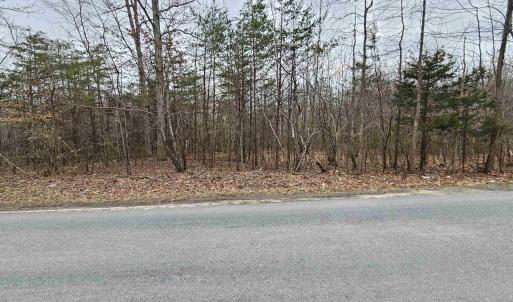 Photo #2 of TBD EVANS MILLS RD, DILLWYN, VA 7.8 acres