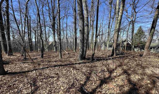 Photo #4 of 25 FERNWOOD CT, WINTERGREEN RESORT, VA 0.5 acres