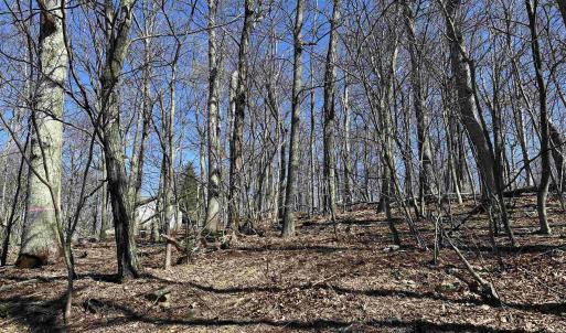 Photo #5 of 25 FERNWOOD CT, WINTERGREEN RESORT, VA 0.5 acres