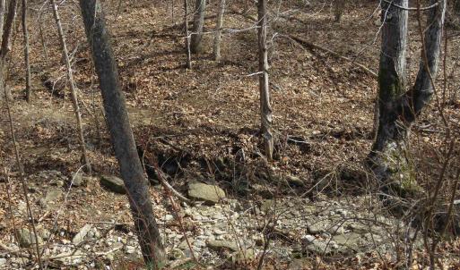 Photo #27 of Unassigned SMITH HOLW, LEXINGTON, VA 89.0 acres