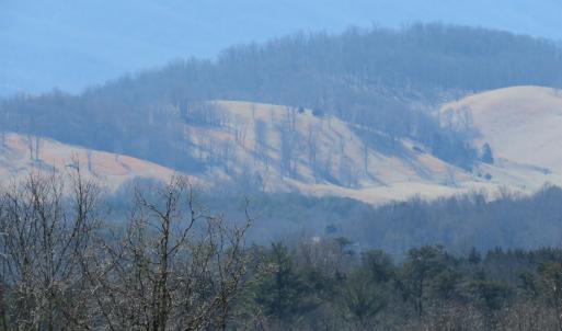 Photo #50 of Unassigned SMITH HOLW, LEXINGTON, VA 89.0 acres