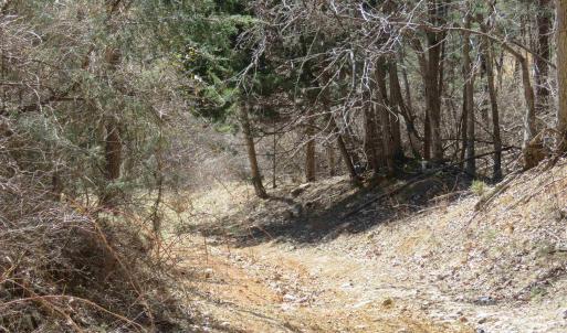 Photo #26 of Unassigned SMITH HOLW, LEXINGTON, VA 89.0 acres