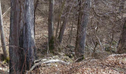 Photo #29 of Unassigned SMITH HOLW, LEXINGTON, VA 89.0 acres