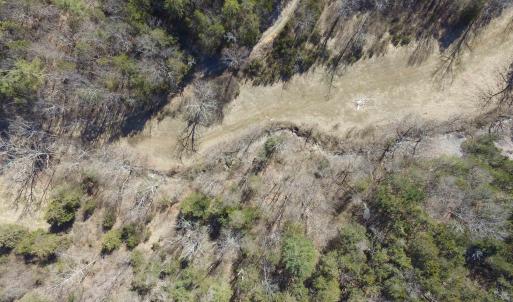 Photo #14 of Unassigned SMITH HOLW, LEXINGTON, VA 89.0 acres