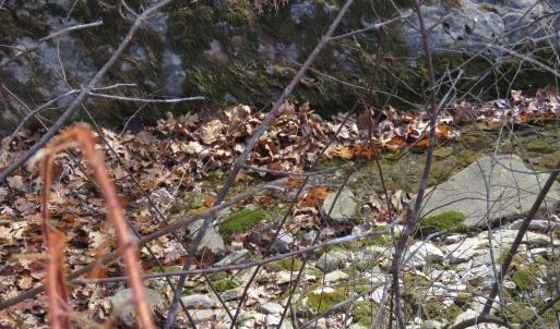 Photo #30 of Unassigned SMITH HOLW, LEXINGTON, VA 89.0 acres