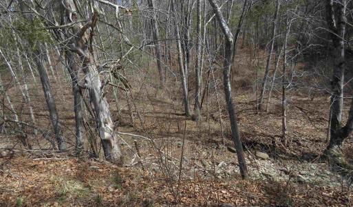 Photo #28 of Unassigned SMITH HOLW, LEXINGTON, VA 89.0 acres