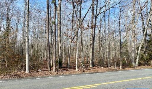 Photo #2 of SPOTSWOOD TRL, EHEART, VA 9.0 acres