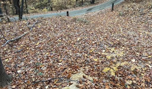 Photo #2 of 2493 WYATT MOUNTAIN RD, DYKE, VA 11.0 acres