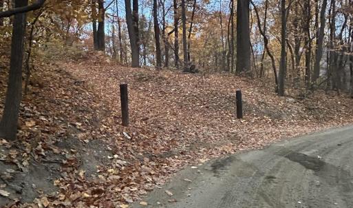 Photo #1 of 2493 WYATT MOUNTAIN RD, DYKE, VA 11.0 acres