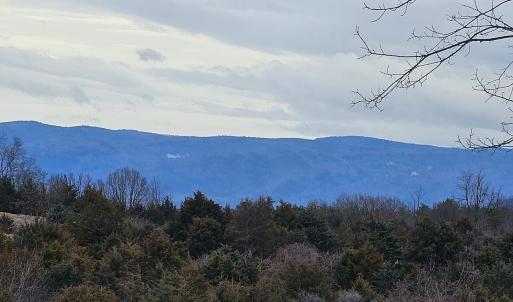 Photo #1 of Lot 5 BERRY FARM RD, STAUNTON, VA 5.8 acres