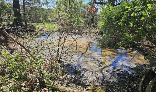 Photo #4 of Lot 5 BERRY FARM RD, STAUNTON, VA 5.8 acres