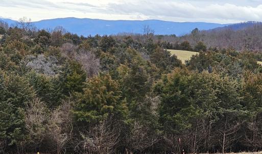 Photo #13 of Lot 5 BERRY FARM RD, STAUNTON, VA 5.8 acres