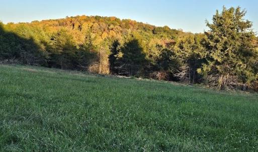 Photo #21 of Lot 5 BERRY FARM RD, STAUNTON, VA 5.8 acres