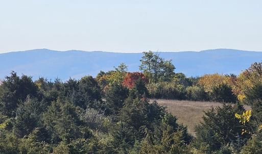 Photo #5 of Lot 5 BERRY FARM RD, STAUNTON, VA 5.8 acres