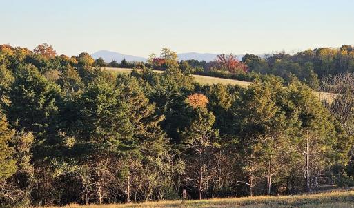Photo #22 of Lot 5 BERRY FARM RD, STAUNTON, VA 5.8 acres