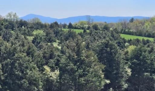 Photo #16 of Lot 5 BERRY FARM RD, STAUNTON, VA 5.8 acres