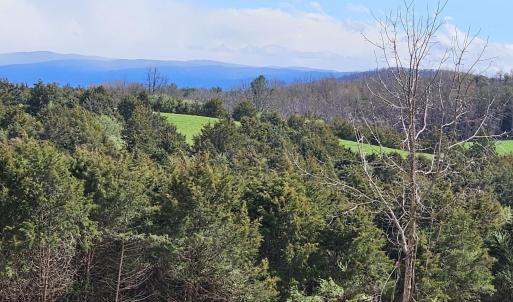 Photo #15 of Lot 5 BERRY FARM RD, STAUNTON, VA 5.8 acres