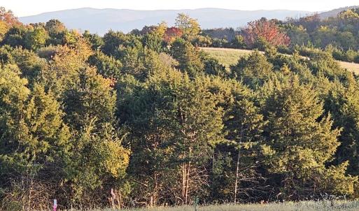 Photo #10 of Lot 5 BERRY FARM RD, STAUNTON, VA 5.8 acres