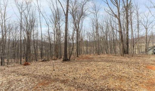 Photo #2 of TBD WINSOME ORCHARD LN, NORTH GARDEN, VA 26.4 acres