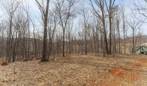 Photo #3 of TBD WINSOME ORCHARD LN, NORTH GARDEN, VA 26.4 acres
