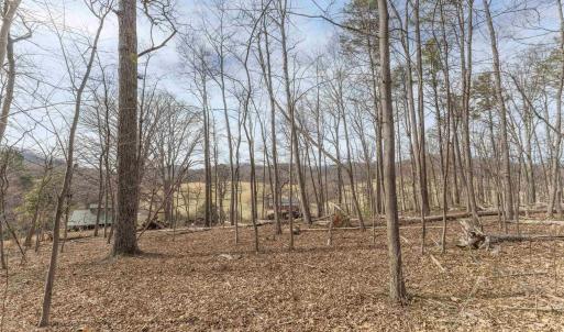 Photo #1 of TBD WINSOME ORCHARD LN, NORTH GARDEN, VA 26.4 acres
