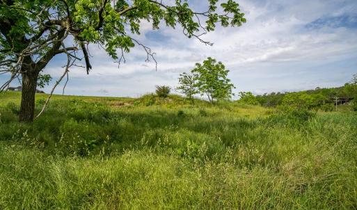 Photo #7 of 3010 WOODBERRY CIR, ROCKINGHAM, VA 1.5 acres