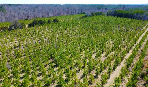 Photo #8 of 357 ac RENAN RD, GRETNA, VA 357.5 acres