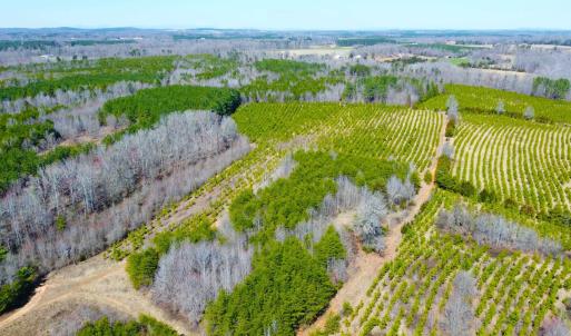Photo #12 of 357 ac RENAN RD, GRETNA, VA 357.5 acres