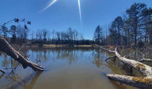 Photo #6 of 357 ac RENAN RD, GRETNA, VA 357.5 acres