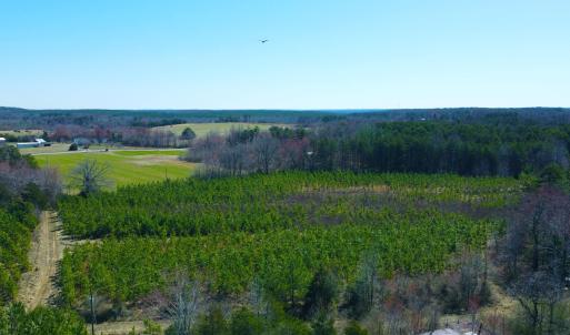 Photo #2 of 357 ac RENAN RD, GRETNA, VA 357.5 acres