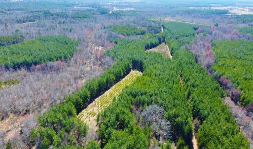 Photo #10 of 357 ac RENAN RD, GRETNA, VA 357.5 acres