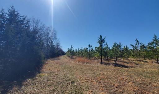 Photo #17 of 357 ac RENAN RD, GRETNA, VA 357.5 acres