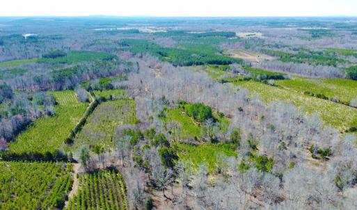 Photo #1 of 357 ac RENAN RD, GRETNA, VA 357.5 acres