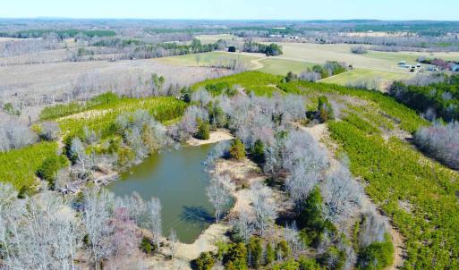 Photo #4 of 357 ac RENAN RD, GRETNA, VA 357.5 acres