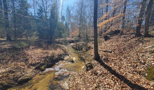 Photo #14 of 357 ac RENAN RD, GRETNA, VA 357.5 acres